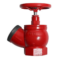Клапан пожарный чугунный ПК-65 угловой 125° (муфта-цапка)